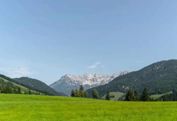 AUSBLICK