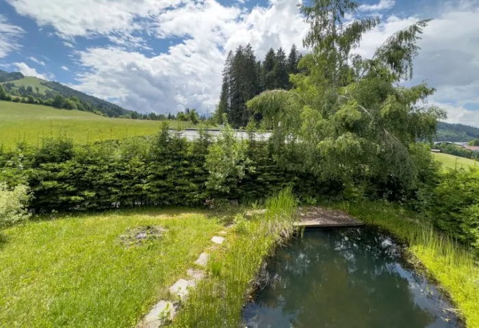 AUSBLICK