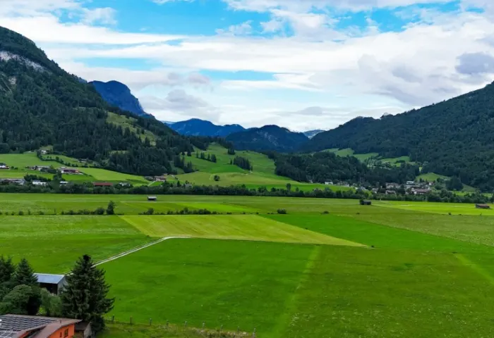 AUSBLICK