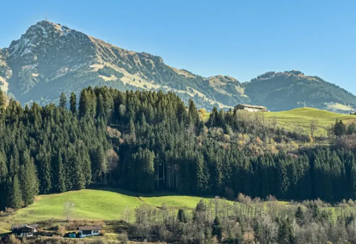 BLICK KITZBÜHELER HORN