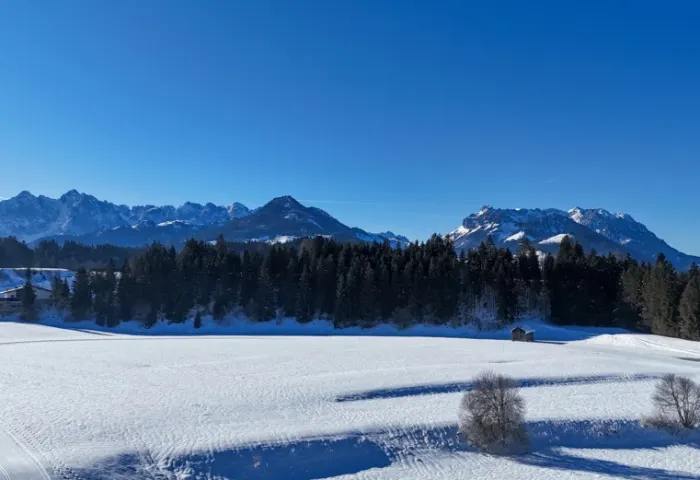 UMGEBUNG AUSBLICK