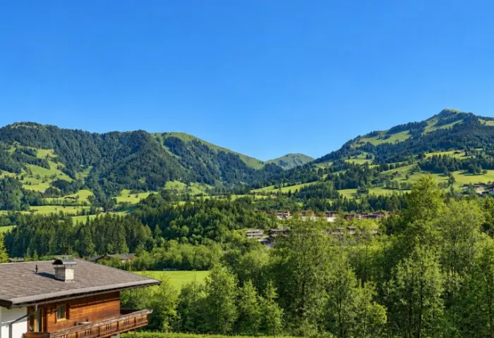 AUSBLICK
