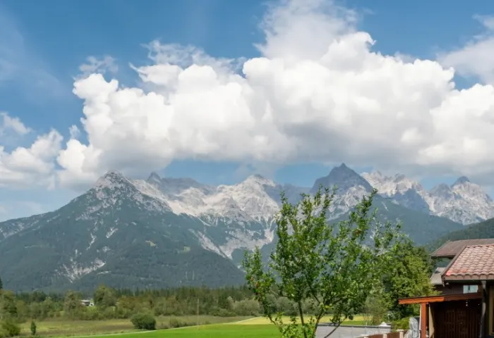 AUSBLICK