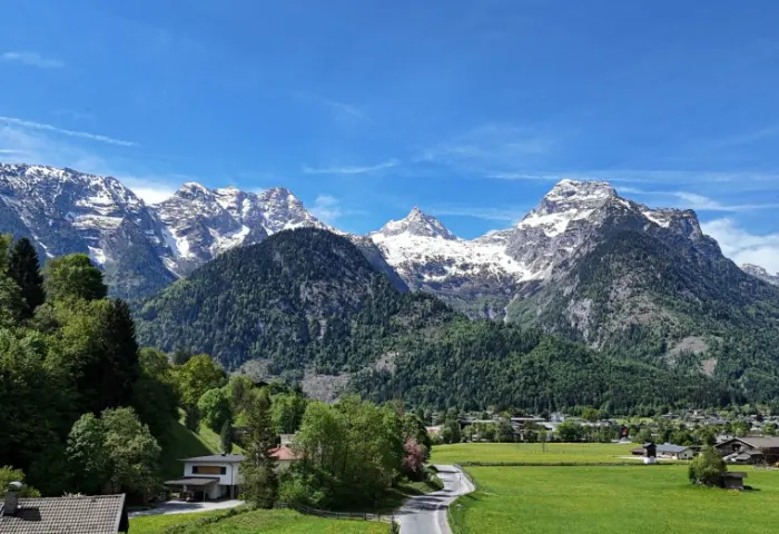 STEINBERGE